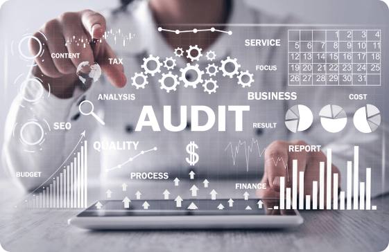 audit